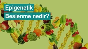 Epigenetik Beslenme